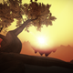 The First Tree.